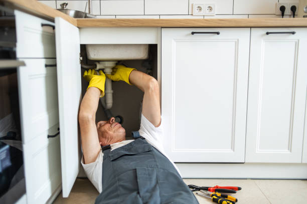Best Affordable Plumber Near Me  in Leo Cedarville, IN