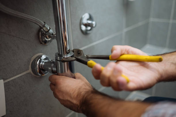 Best Leak Detection Services  in Leo Cedarville, IN