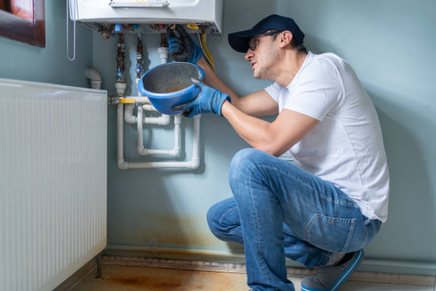 Best Local Plumber Services  in Leo Cedarville, IN