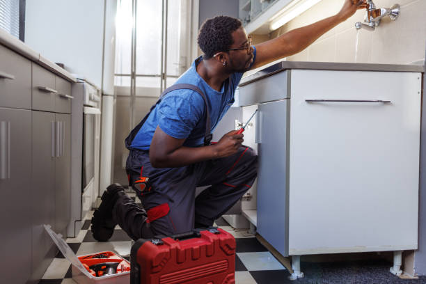 Best Clogged Drain Plumber  in Leo Cedarville, IN